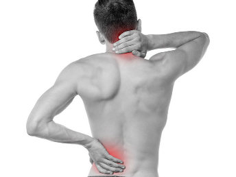 Osobine gela protiv bolova u zglobovima i leđima Frekosteel